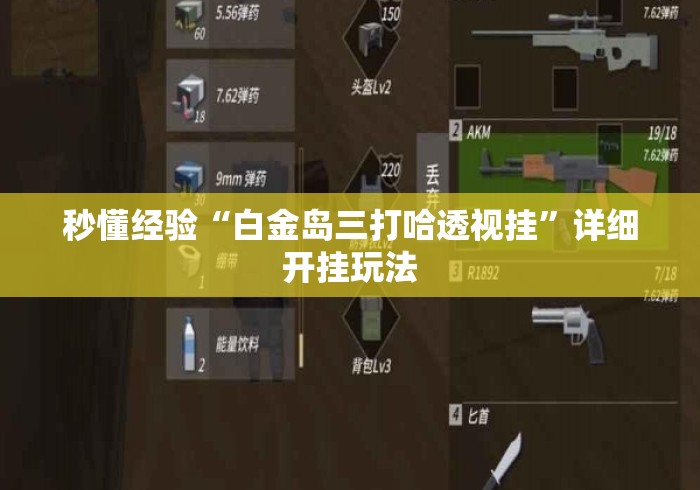 秒懂经验“白金岛三打哈透视挂”详细开挂玩法