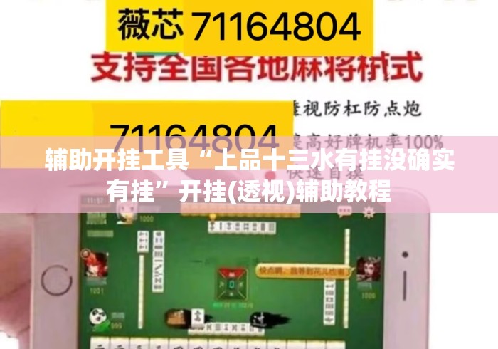 辅助开挂工具“上品十三水有挂没确实有挂”开挂(透视)辅助教程