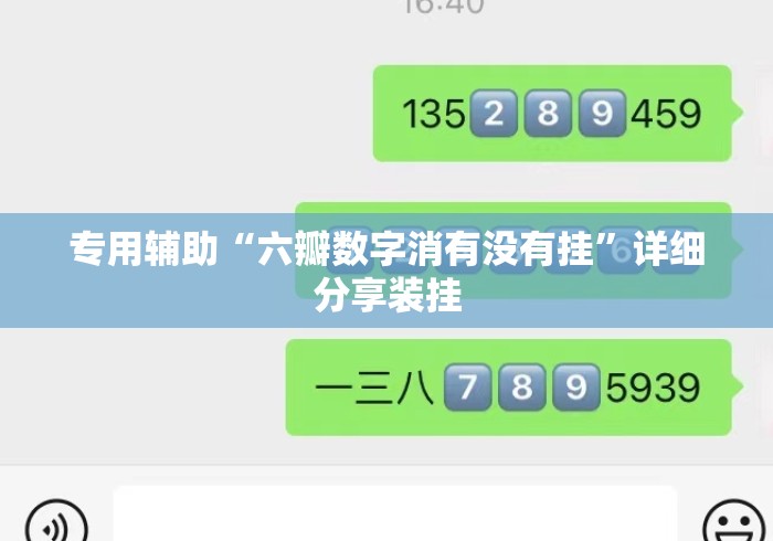 专用辅助“六瓣数字消有没有挂”详细分享装挂