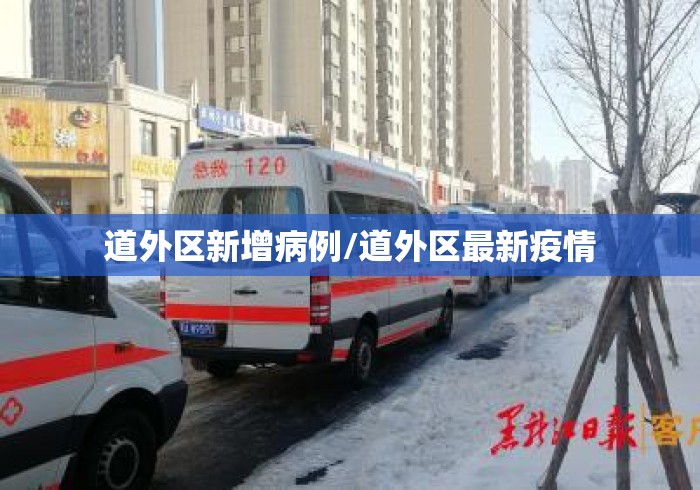 道外区新增病例/道外区最新疫情
