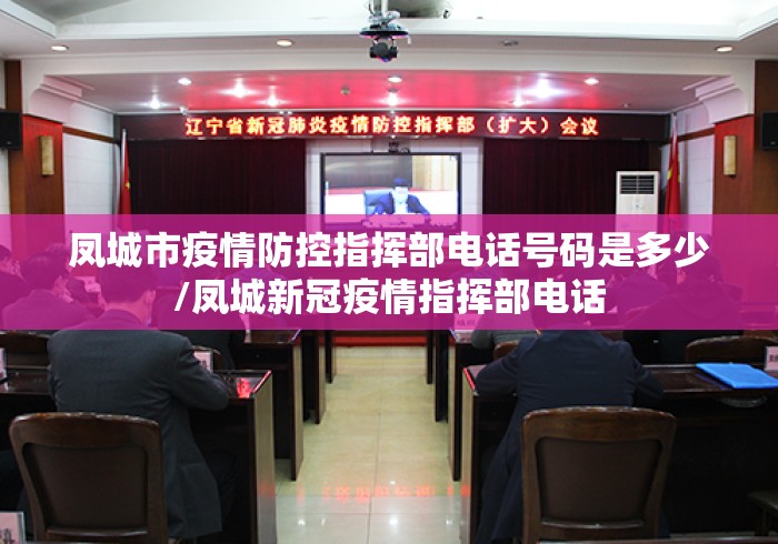 凤城市疫情防控指挥部电话号码是多少/凤城新冠疫情指挥部电话 凤城市疫情防控指挥部电话号码是多少/凤城新冠疫情指挥部电话