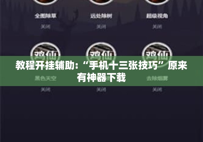 教程开挂辅助:“手机十三张技巧”原来有神器下载