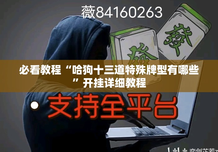 必看教程“哈狗十三道特殊牌型有哪些”开挂详细教程
