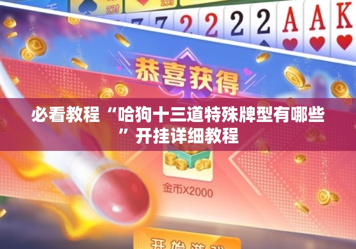 必看教程“哈狗十三道特殊牌型有哪些”开挂详细教程