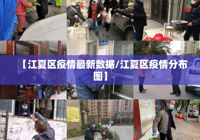 【江夏区疫情最新数据/江夏区疫情分布图】