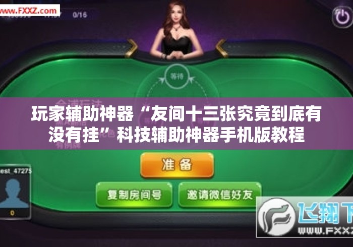 玩家辅助神器“友间十三张究竟到底有没有挂”科技辅助神器手机版教程