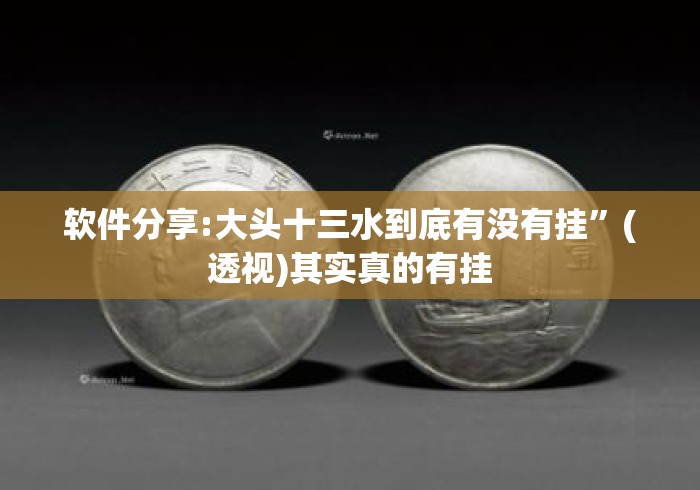 软件分享:大头十三水到底有没有挂	”(透视)其实真的有挂