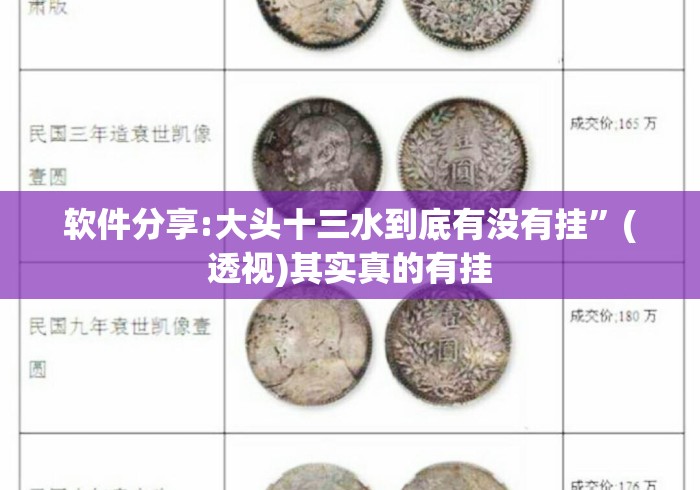 软件分享:大头十三水到底有没有挂”(透视)其实真的有挂