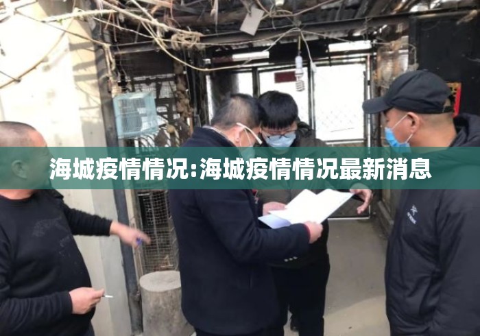 海城疫情情况:海城疫情情况最新消息