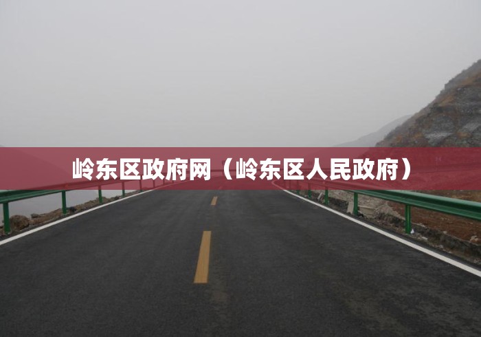 岭东区政府网（岭东区人民政府）