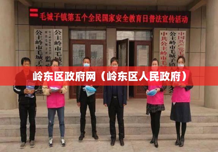 岭东区政府网（岭东区人民政府）