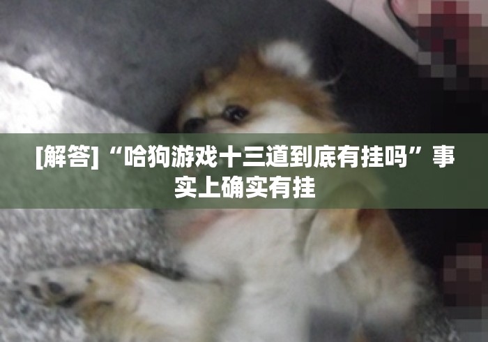 [解答]“哈狗游戏十三道到底有挂吗”事实上确实有挂