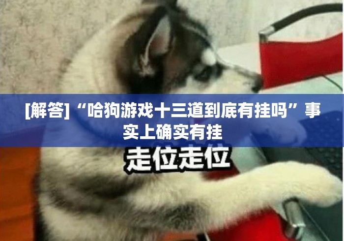 [解答]“哈狗游戏十三道到底有挂吗”事实上确实有挂