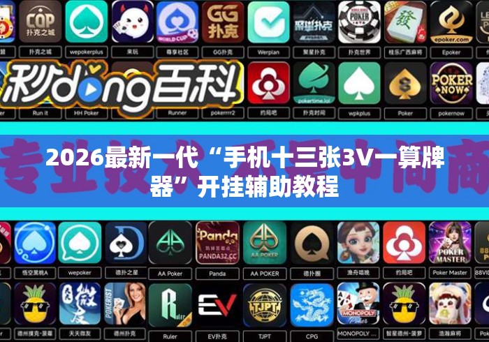 2026最新一代“手机十三张3V一算牌器	”开挂辅助教程