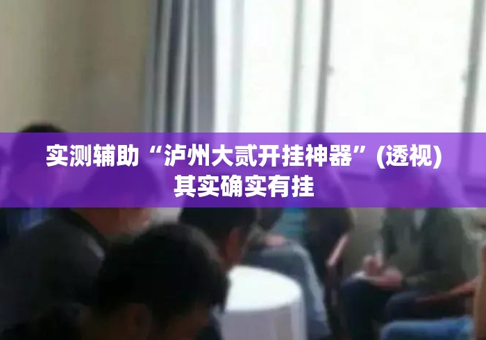 实测辅助“泸州大贰开挂神器”(透视)其实确实有挂