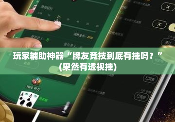 玩家辅助神器“牌友竞技到底有挂吗？”(果然有透视挂)