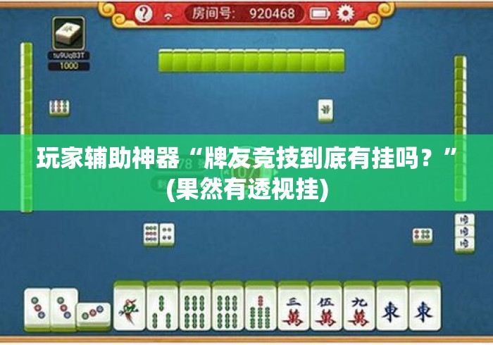 玩家辅助神器“牌友竞技到底有挂吗？”(果然有透视挂)