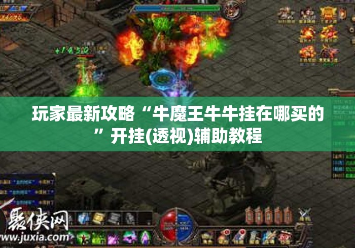 玩家最新攻略“牛魔王牛牛挂在哪买的”开挂(透视)辅助教程