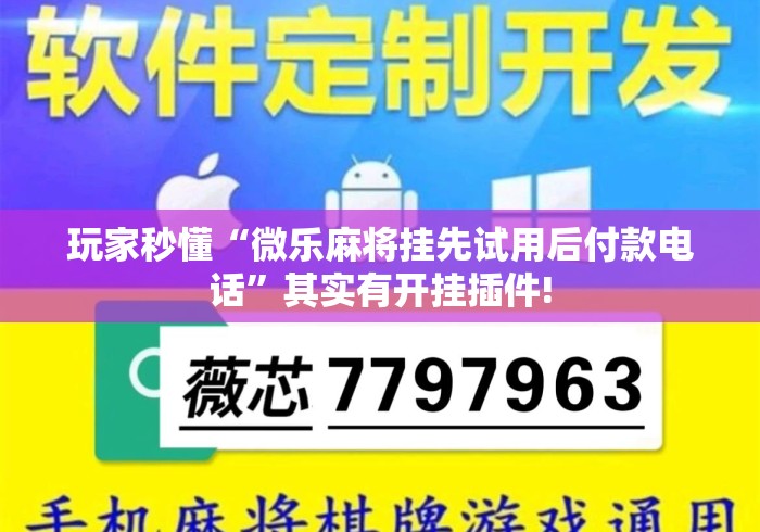 玩家秒懂“微乐麻将挂先试用后付款电话”其实有开挂插件!