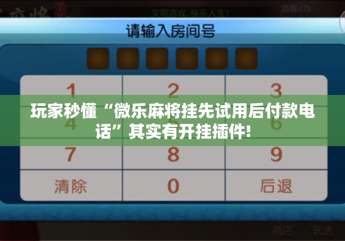 玩家秒懂“微乐麻将挂先试用后付款电话	”其实有开挂插件!