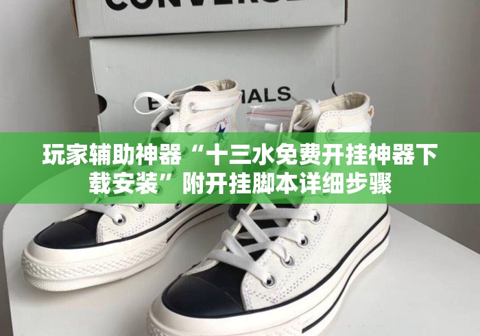 玩家辅助神器“十三水免费开挂神器下载安装	”附开挂脚本详细步骤