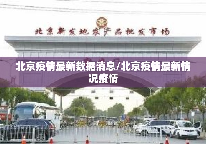 北京疫情最新数据消息/北京疫情最新情况疫情 北京疫情最新数据消息/北京疫情最新情况疫情