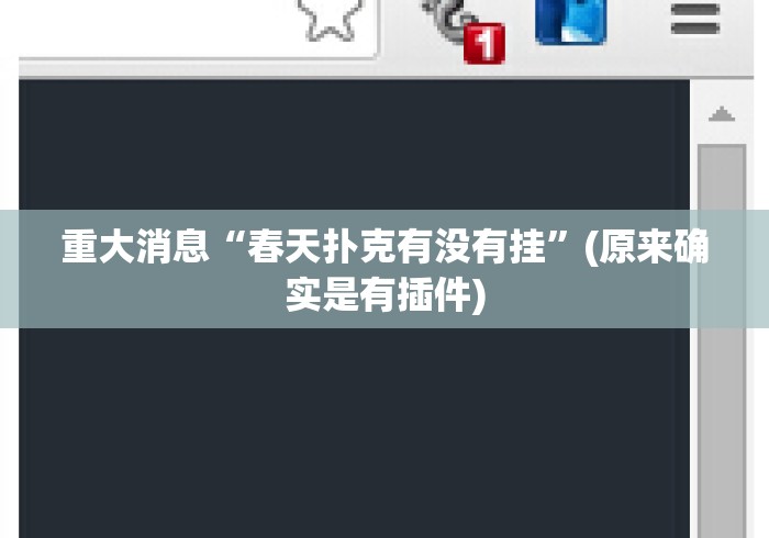 重大消息“春天扑克有没有挂”(原来确实是有插件)