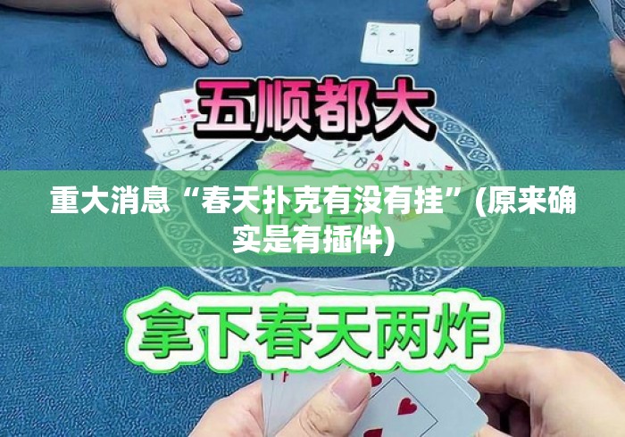 重大消息“春天扑克有没有挂	”(原来确实是有插件)