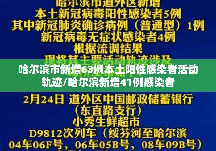 哈尔滨市新增63例本土阳性感染者活动轨迹/哈尔滨新增41例感染者 哈尔滨市新增63例本土阳性感染者活动轨迹/哈尔滨新增41例感染者
