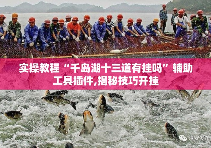 实操教程“千岛湖十三道有挂吗	”辅助工具插件,揭秘技巧开挂
