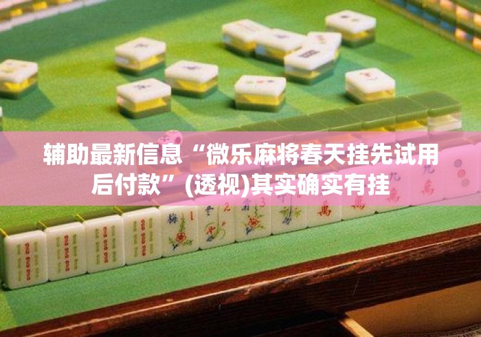 辅助最新信息“微乐麻将春天挂先试用后付款”(透视)其实确实有挂