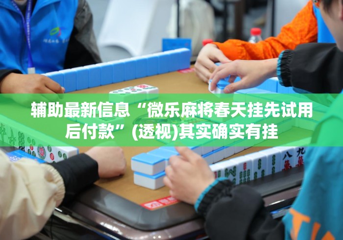 辅助最新信息“微乐麻将春天挂先试用后付款	”(透视)其实确实有挂