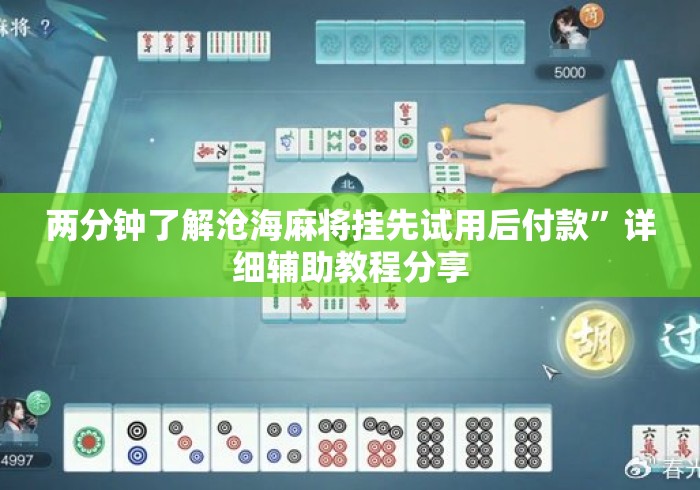 两分钟了解沧海麻将挂先试用后付款”详细辅助教程分享