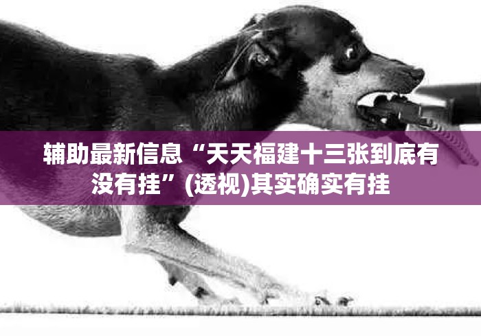辅助最新信息“天天福建十三张到底有没有挂”(透视)其实确实有挂