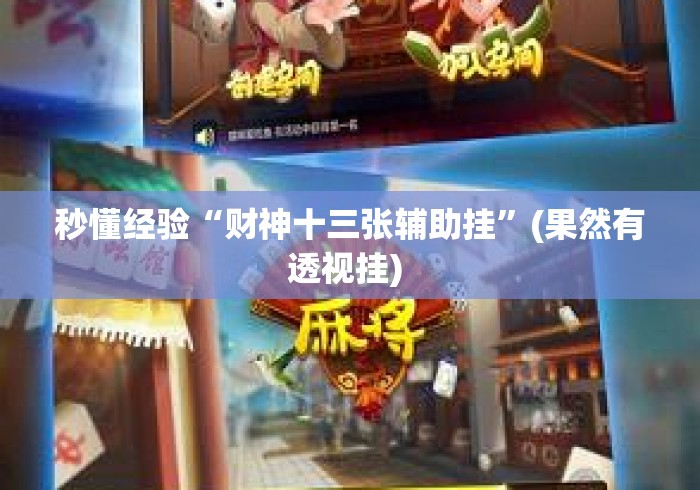 秒懂经验“财神十三张辅助挂”(果然有透视挂) 