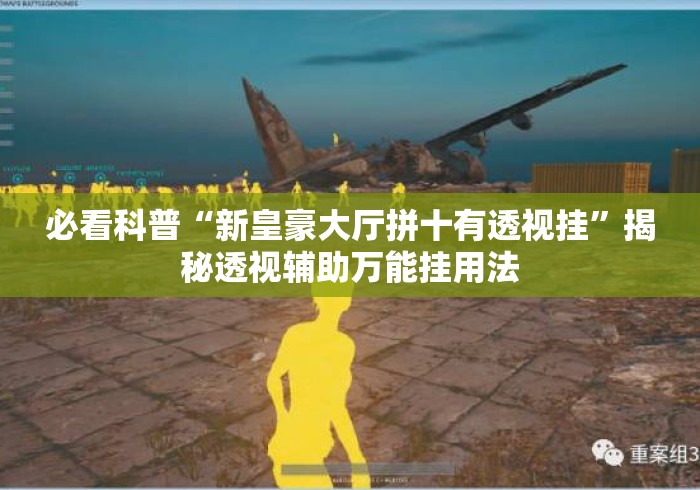 必看科普“新皇豪大厅拼十有透视挂	”揭秘透视辅助万能挂用法