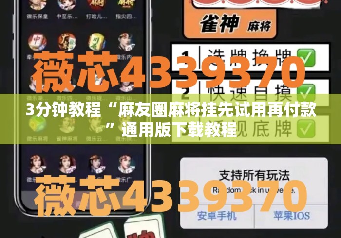 3分钟教程“麻友圈麻将挂先试用再付款”通用版下载教程