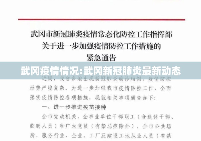 武冈疫情情况:武冈新冠肺炎最新动态 武冈疫情情况:武冈新冠肺炎最新动态