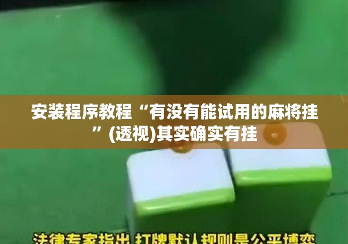 安装程序教程“有没有能试用的麻将挂	”(透视)其实确实有挂