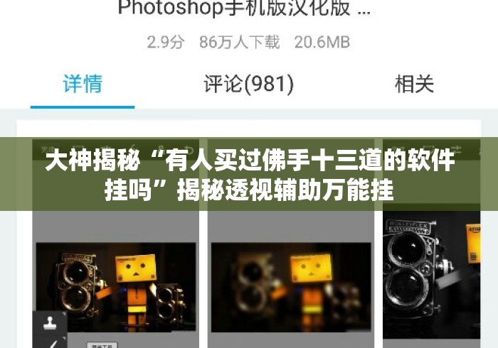 大神揭秘“有人买过佛手十三道的软件挂吗	”揭秘透视辅助万能挂
