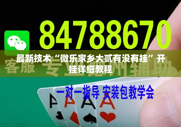 最新技术“微乐家乡大贰有没有挂”开挂详细教程