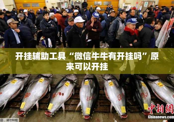 开挂辅助工具“微信牛牛有开挂吗”原来可以开挂