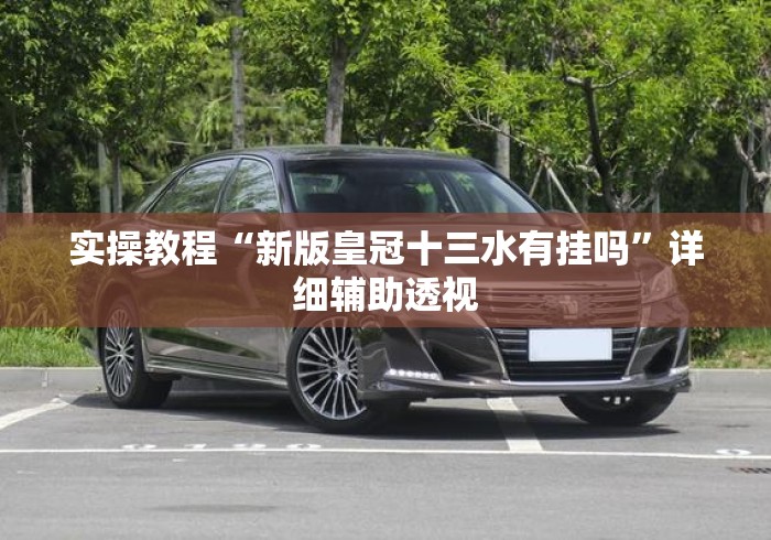 实操教程“新版皇冠十三水有挂吗”详细辅助透视