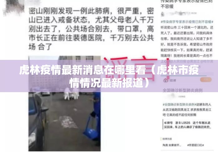 虎林疫情最新消息在哪里看(虎林市疫情情况最新报道) 虎林疫情最新消息在哪里看(虎林市疫情情况最新报道)