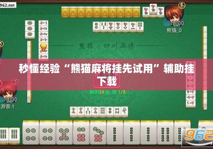 秒懂经验“熊猫麻将挂先试用”辅助挂下载