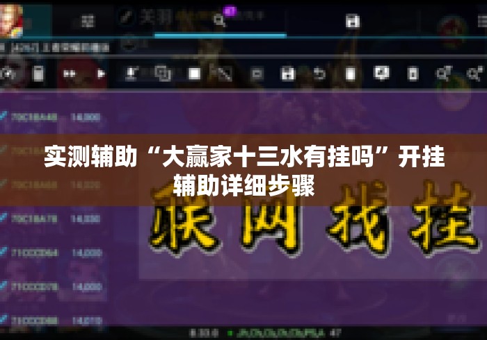 实测辅助“大赢家十三水有挂吗	”开挂辅助详细步骤