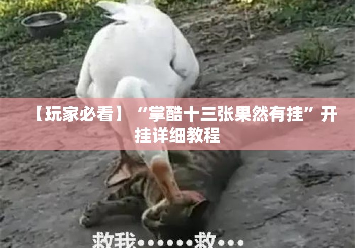 【玩家必看】“掌酷十三张果然有挂	”开挂详细教程