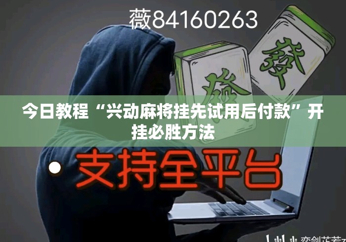 今日教程“兴动麻将挂先试用后付款”开挂必胜方法