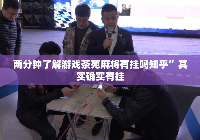 两分钟了解游戏茶苑麻将有挂吗知乎	”其实确实有挂