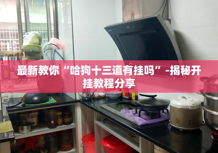 最新教你“哈狗十三道有挂吗	”-揭秘开挂教程分享